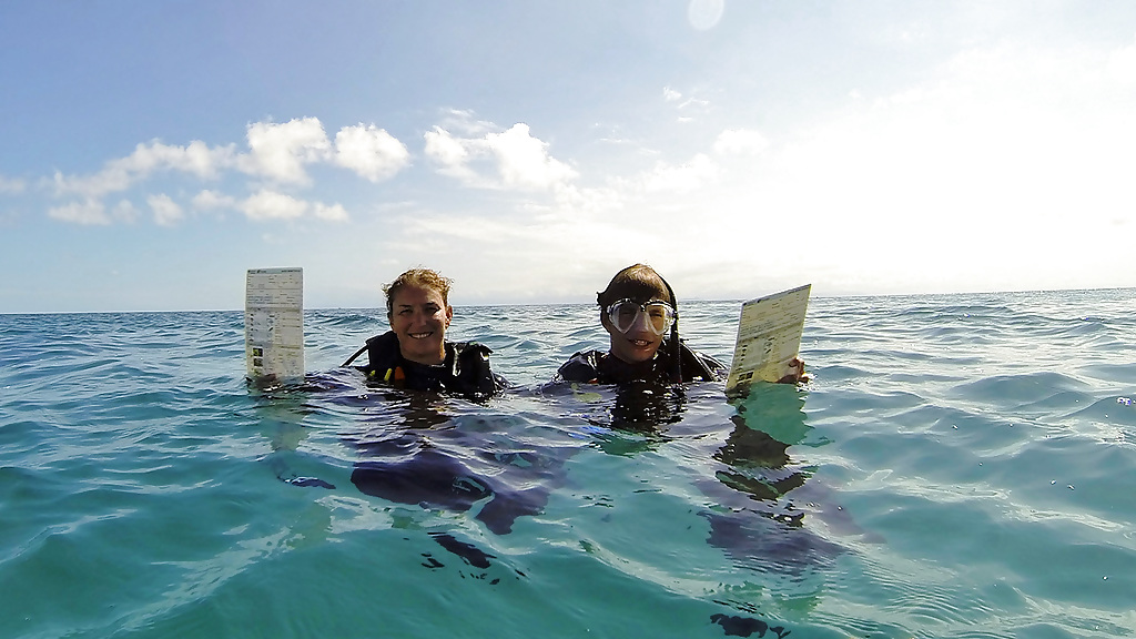 Great Barrier Reef Marine Conservation Program - Certified Divers